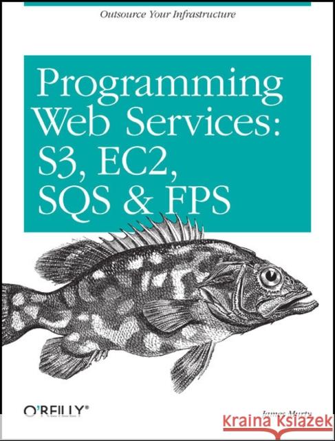 Programming Amazon Web Services: S3, EC2, SQS, FPS, and SimpleDB Murty, James 9780596515812 O'Reilly Media - książka