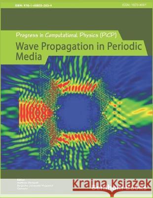 Progress in Computational Physics (PiCP): Coupled Fluid Flow in Energy, Biology and Environmental Research Matthias Ehrhardt 9781608056910 Bentham Science Publishers - książka