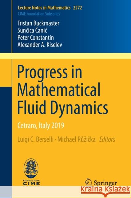 Progress in Mathematical Fluid Dynamics: Cetraro, Italy 2019 Buckmaster, Tristan 9783030548988 Springer - książka