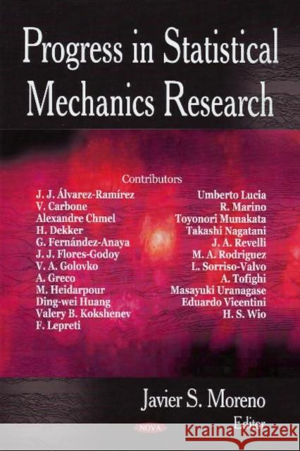 Progress in Statistical Mechanics Research Javier S Moreno 9781604560282 Nova Science Publishers Inc - książka