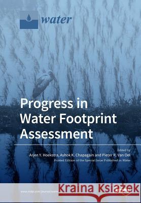 Progress in Water Footprint Assessment Arjen Y. Hoekstra Ashok K. Chapagain Pieter R. Va 9783039210381 Mdpi AG - książka