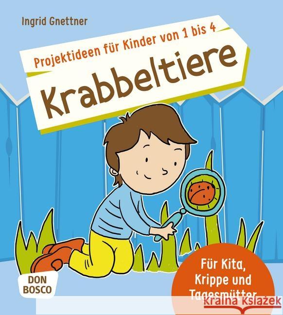 Projektideen für Kinder von 1 bis 4: Krabbeltiere : Für Kita, Krippe und Tagesmütter Gnettner, Ingrid 9783769821321 Don Bosco Verlag - książka