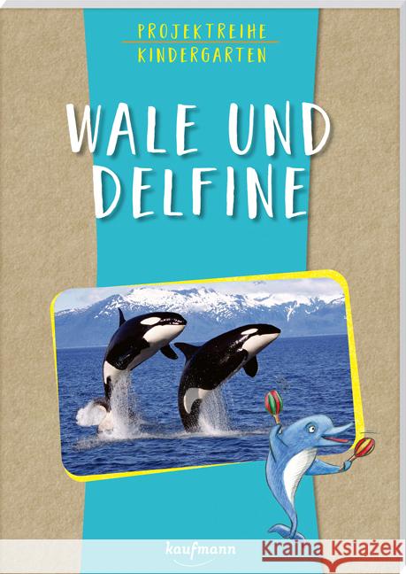 Projektreihe Kindergarten - Wale und Delfine Mohr, Anja 9783780651693 Kaufmann - książka