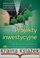 Projekty inwestycyjne Marta Postuła, Anna Chmielewska, Rafał Cieślik, M 9788382702392 Difin - książka
