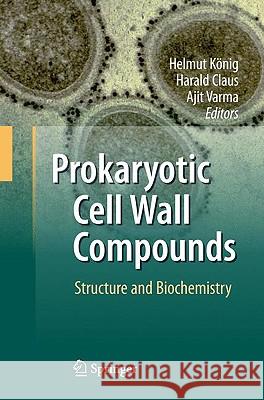 Prokaryotic Cell Wall Compounds: Structure and Biochemistry König, Helmut 9783642050619 Springer - książka
