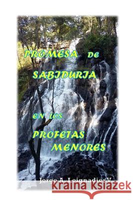Promesa de Sabiduria en los Profetas Menores Jpse S. Valdes Jorge a. Leignadier 9781540755100 Createspace Independent Publishing Platform - książka