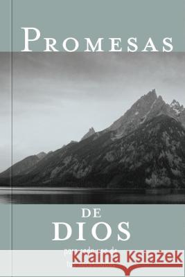 Promesas de Dios Para Cada Una de Tus Necesidades = God's Promises for Your Every Need Jack Countryman 9781602553514 Grupo Nelson - książka