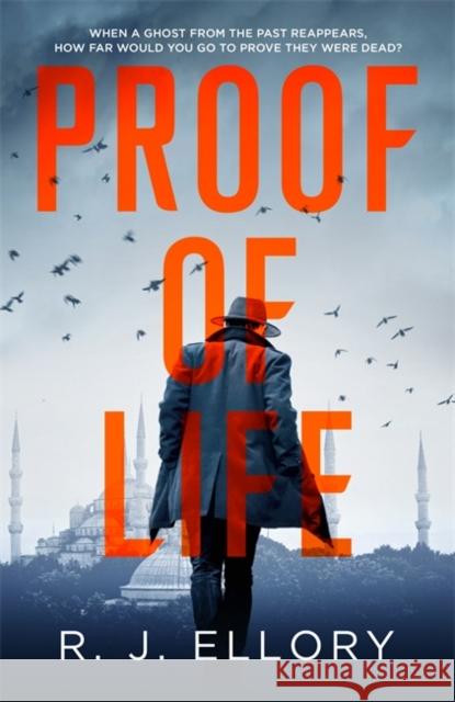 Proof of Life R.J. Ellory 9781409198567 Orion Publishing Co - książka