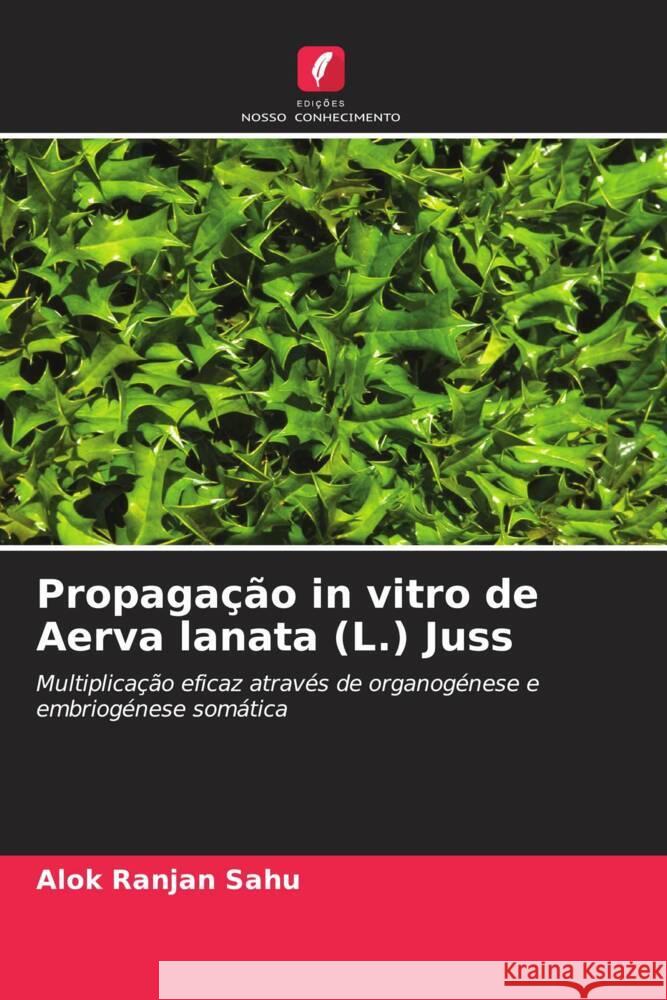 Propaga??o in vitro de Aerva lanata (L.) Juss Alok Ranjan Sahu 9786207046942 Edicoes Nosso Conhecimento - książka