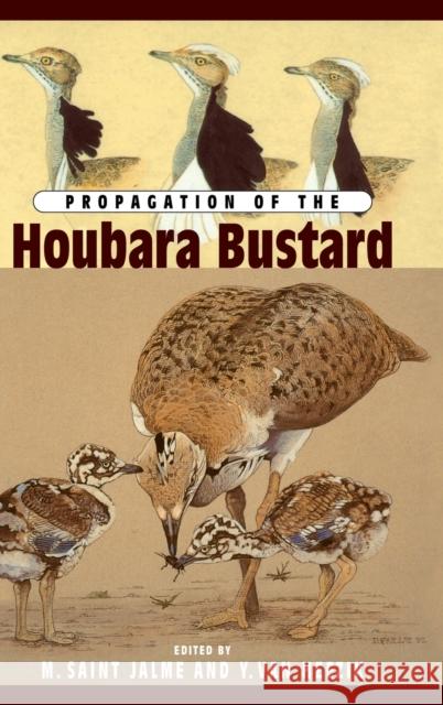 Propagation of the Houbara Bustard Saint 9780710305183 Kegan Paul International - książka