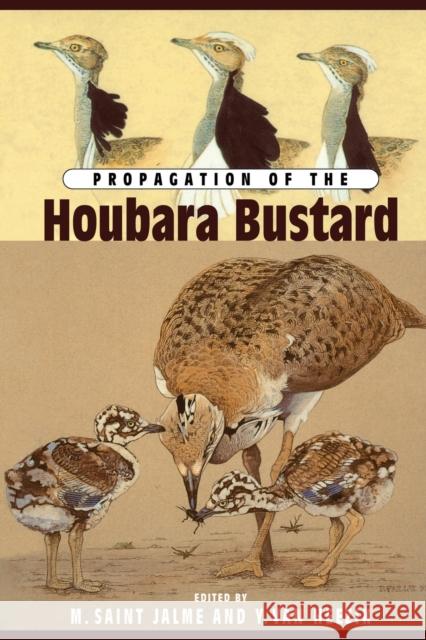 Propagation of the Houbara Bustard Saint 9781138983977 Routledge - książka