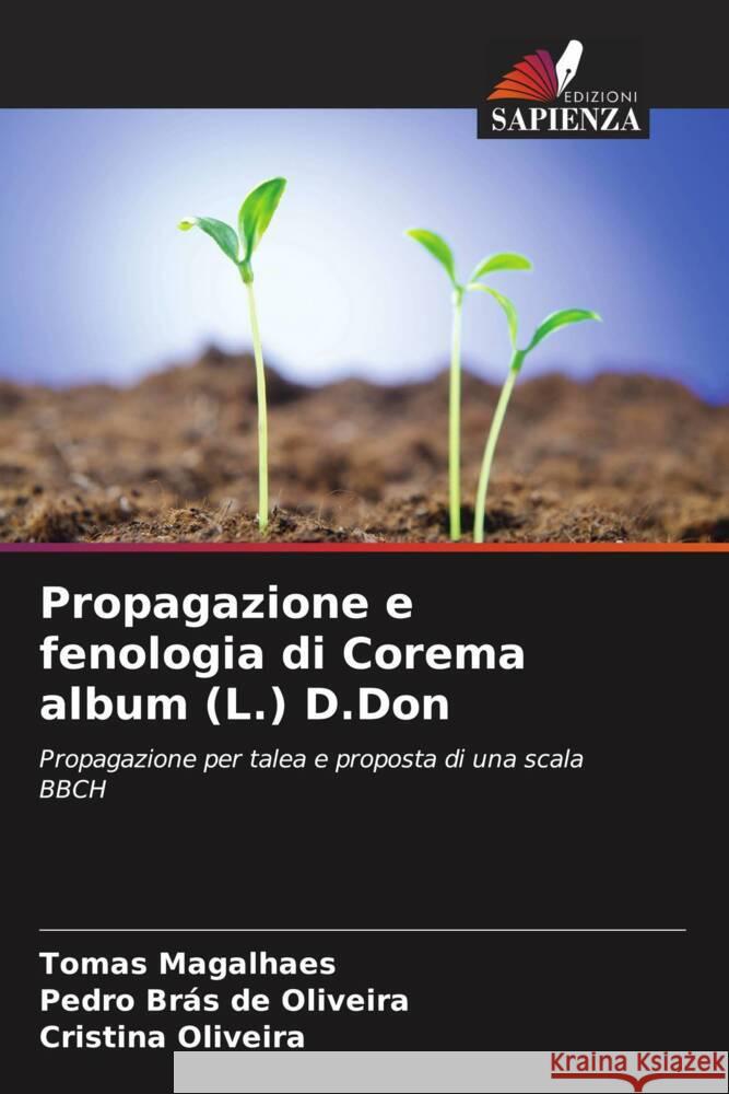 Propagazione e fenologia di Corema album (L.) D.Don Tomas Magalhaes Pedro Br?s d Cristina Oliveira 9786203256536 Edizioni Sapienza - książka