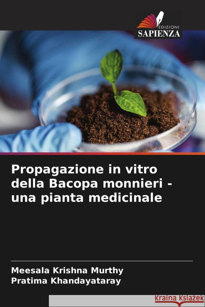 Propagazione in vitro della Bacopa monnieri - una pianta medicinale Murthy, Meesala Krishna, Khandayataray, Pratima 9786204806396 Edizioni Sapienza - książka