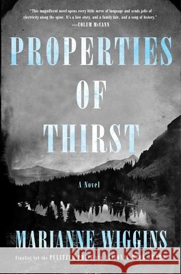 Properties of Thirst Marianne Wiggins 9781416571261 Simon & Schuster - książka