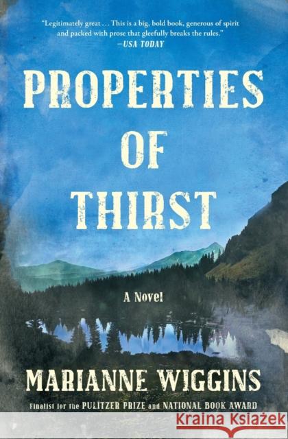 Properties of Thirst Marianne Wiggins 9781416571278 Simon & Schuster - książka