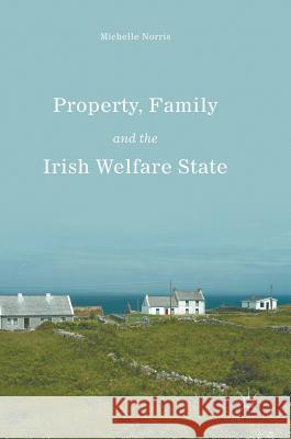 Property, Family and the Irish Welfare State Norris, Michelle 9783319445663 Palgrave MacMillan - książka