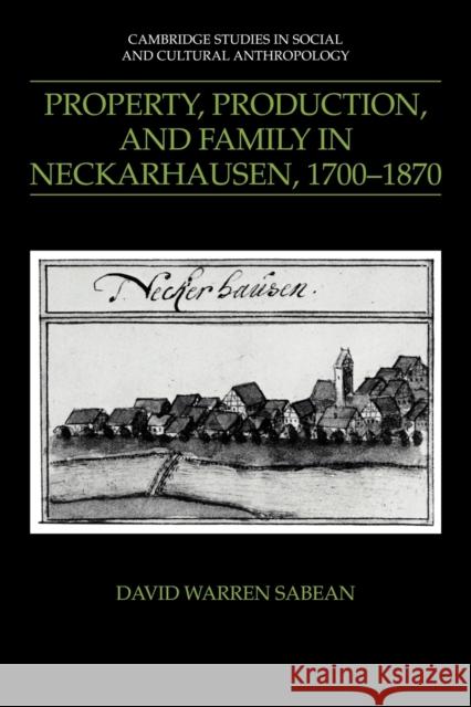 Property, Production, and Family in Neckarhausen, 1700 1870 Sabean, David Warren 9780521386920 Cambridge University Press - książka