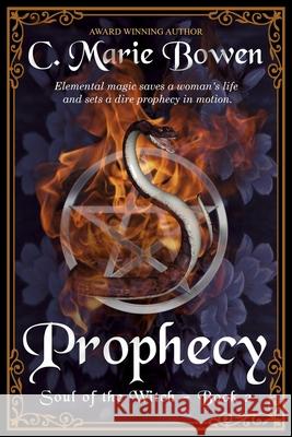 Prophecy C Marie Bowen 9781945215094 Pixler Publications - książka