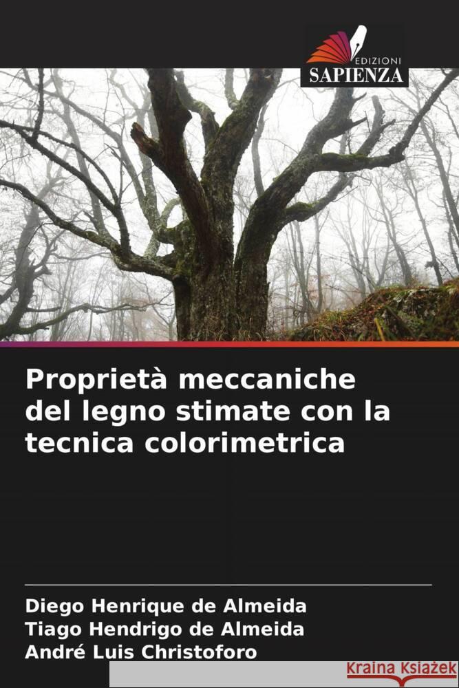 Proprietà meccaniche del legno stimate con la tecnica colorimetrica de Almeida, Diego Henrique, de Almeida, Tiago Hendrigo, Christoforo, André Luis 9786205465745 Edizioni Sapienza - książka