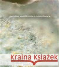 Prosím, uvědomte o tom slunce Žaneta Št 9788088367482 Nakladatelství Bor - książka