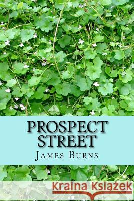 Prospect Street James Burns 9781523268658 Createspace Independent Publishing Platform - książka