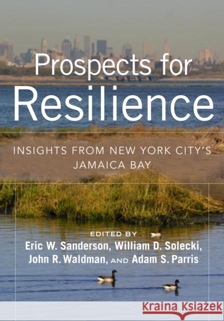 Prospects for Resilience: Insights from New York City's Jamaica Bay Eric W. Sanderson William D. Solecki John R. Waldman 9781610917339 Island Press - książka