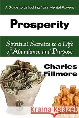 Prosperity Charles Fillmore 9781935785033 Bottom of the Hill Publishing - książka