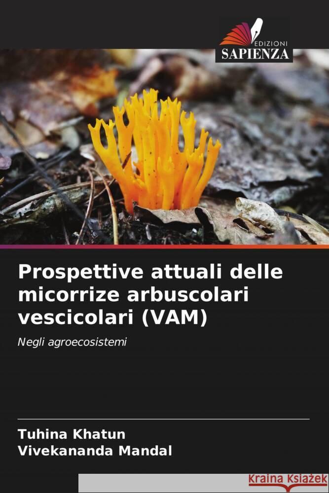 Prospettive attuali delle micorrize arbuscolari vescicolari (VAM) Khatun, Tuhina, Mandal, Vivekananda 9786205171059 Edizioni Sapienza - książka