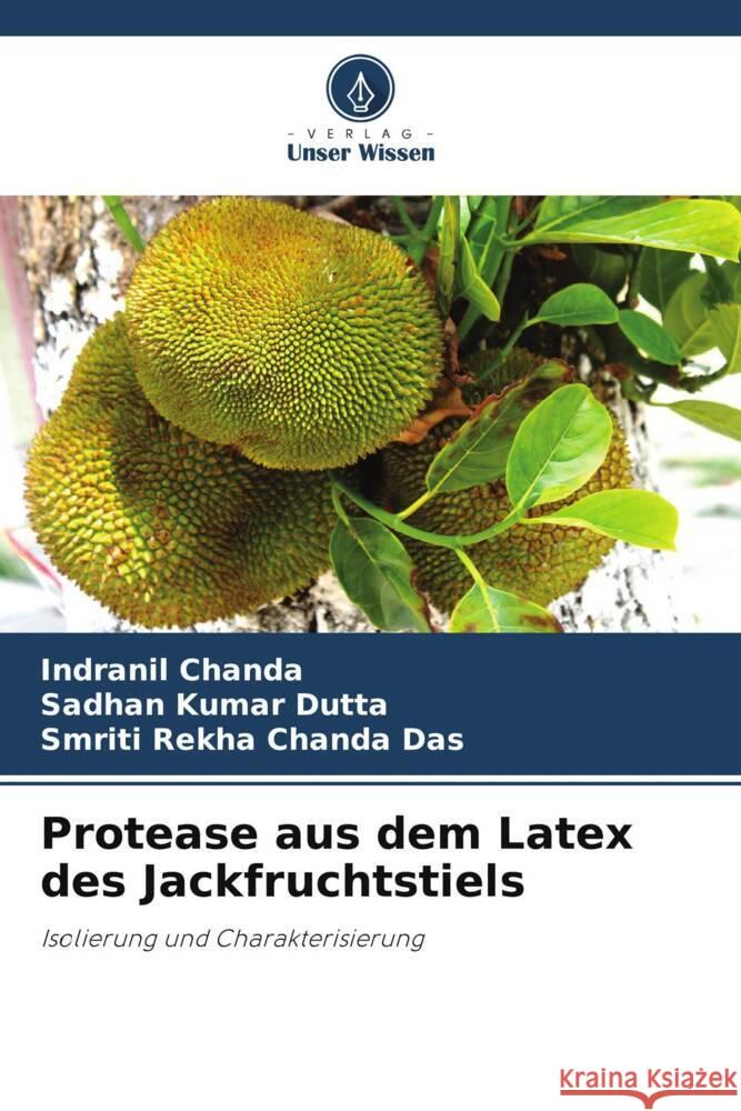 Protease aus dem Latex des Jackfruchtstiels Chanda, Indranil, Dutta, Sadhan Kumar, Chanda Das, Smriti Rekha 9786208955410 Verlag Unser Wissen - książka