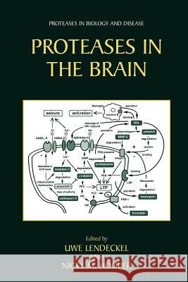 Proteases in the Brain Uwe Lendeckel Nigel M. Hooper 9781441935731 Not Avail - książka