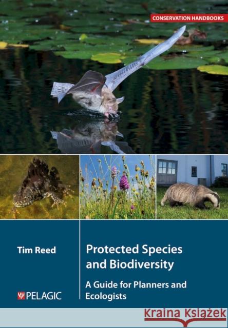 Protected Species and Biodiversity: A Guide for Planners and Ecologists Tim Reed 9781784275013 Pelagic Publishing Ltd - książka