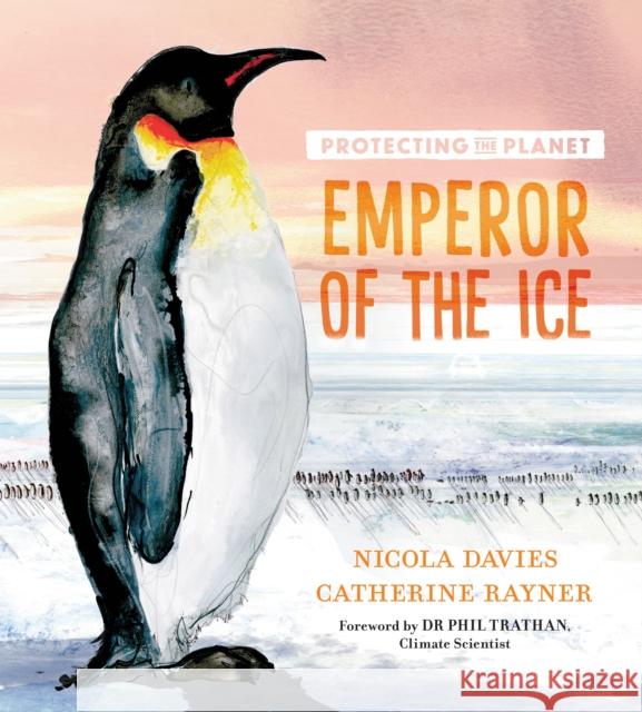 Protecting the Planet: Emperor of the Ice Nicola Davies 9781406397086 Walker Books Ltd - książka