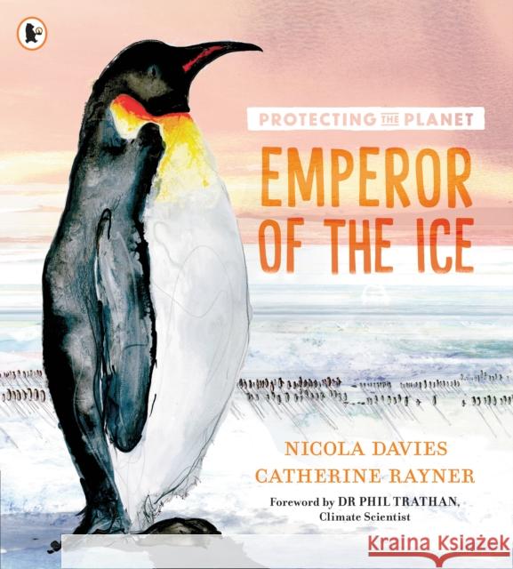 Protecting the Planet: Emperor of the Ice Nicola Davies 9781529514414 Walker Books Ltd - książka