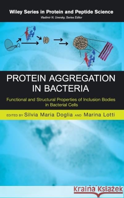Protein Aggregation in Bacteria Doglia, Silvia Maria 9781118448526 John Wiley & Sons - książka
