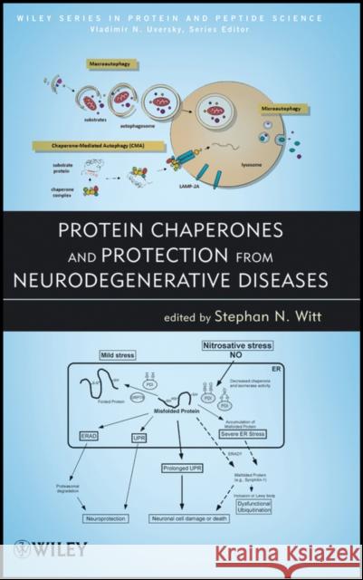 Protein Chaperones and Protection from Neurodegenerative Diseases Stephan N. Witt Vladimir Uversky 9780470569078 John Wiley & Sons - książka