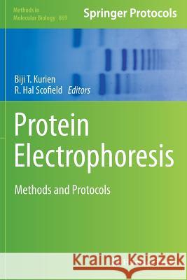 Protein Electrophoresis: Methods and Protocols Kurien, Biji T. 9781493962419 Humana Press - książka