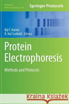 Protein Electrophoresis: Methods and Protocols Kurien, Biji T. 9781617798207 Humana Press - książka