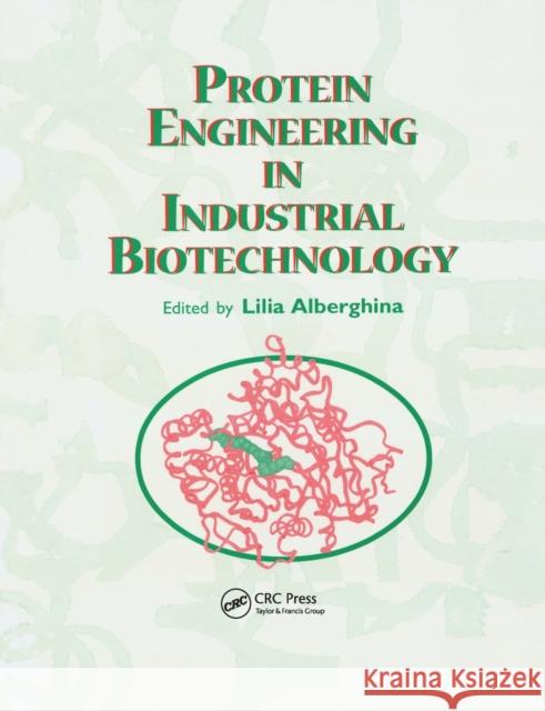 Protein Engineering For Industrial Biotechnology Alberghina, Lilia 9780367398972 CRC Press - książka