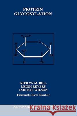 Protein Glycosylation Roslyn M. Bill Leigh Revers Iain B. H. Wilson 9780792383376 Kluwer Academic Publishers - książka