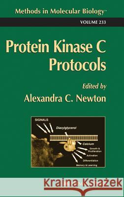 Protein Kinase C Protocols Alexandra C. Newton Alexandra C. Newton 9781588290687 Humana Press - książka