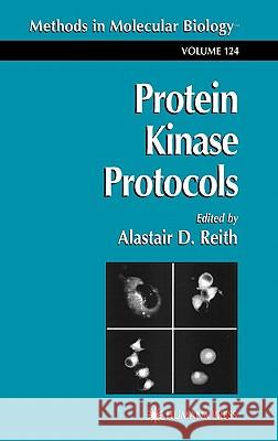 Protein Kinase Protocols Alastair D. Reith 9780896037007 Humana Press - książka