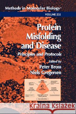 Protein Misfolding and Disease Samuel I. Zeveloff Peter Bross Niels Gregersen 9781588290656 Humana Press - książka