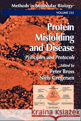 Protein Misfolding and Disease Peter Bross Niels Gregersen 9781617373329 Springer - książka