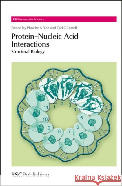 Protein-Nucleic Acid Interactions: Structural Biology Phoebe A Rice 9780854042722  - książka