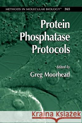 Protein Phosphatase Protocols Greg Moorhead 9781617377334 Springer - książka