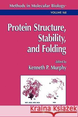 Protein Structure, Stability, and Folding Kenneth P. Murphy 9781617371325 Springer - książka