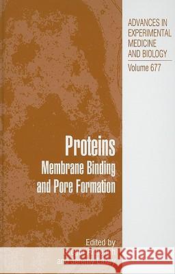 Proteins: Membrane Binding and Pore Formation Anderluh, Gregor 9781441963260 SPRINGER - książka