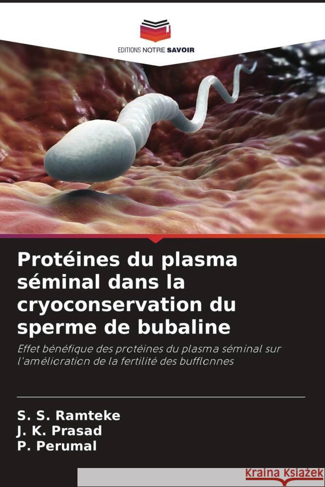 Protéines du plasma séminal dans la cryoconservation du sperme de bubaline Ramteke, S. S., Prasad, J. K., Perumal, P. 9786204471143 Editions Notre Savoir - książka