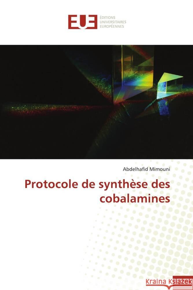 Protocole de synthèse des cobalamines Mimouni, Abdelhafid 9783330877399 Éditions universitaires européennes - książka