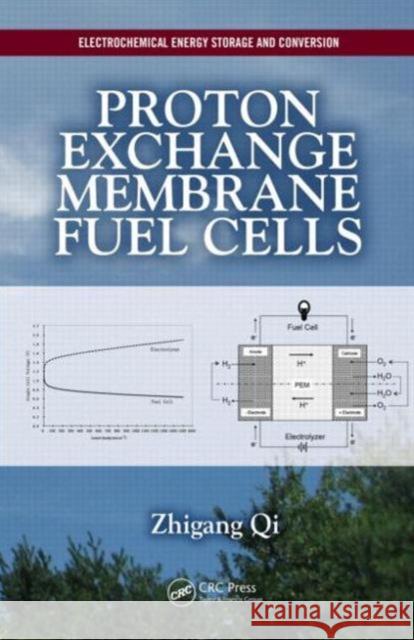 Proton Exchange Membrane Fuel Cells Zhigang Qi 9781466513709 CRC Press - książka